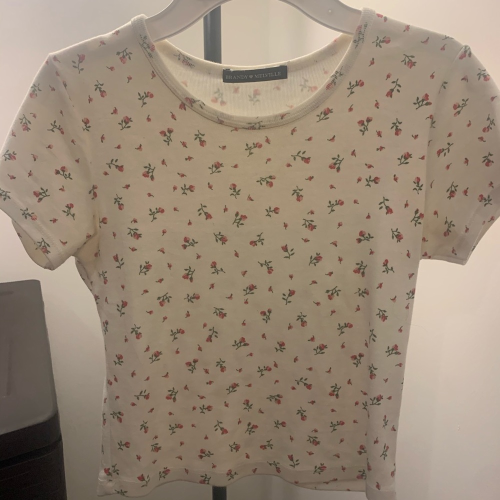 NEW Brandy Melville floral cropped tee